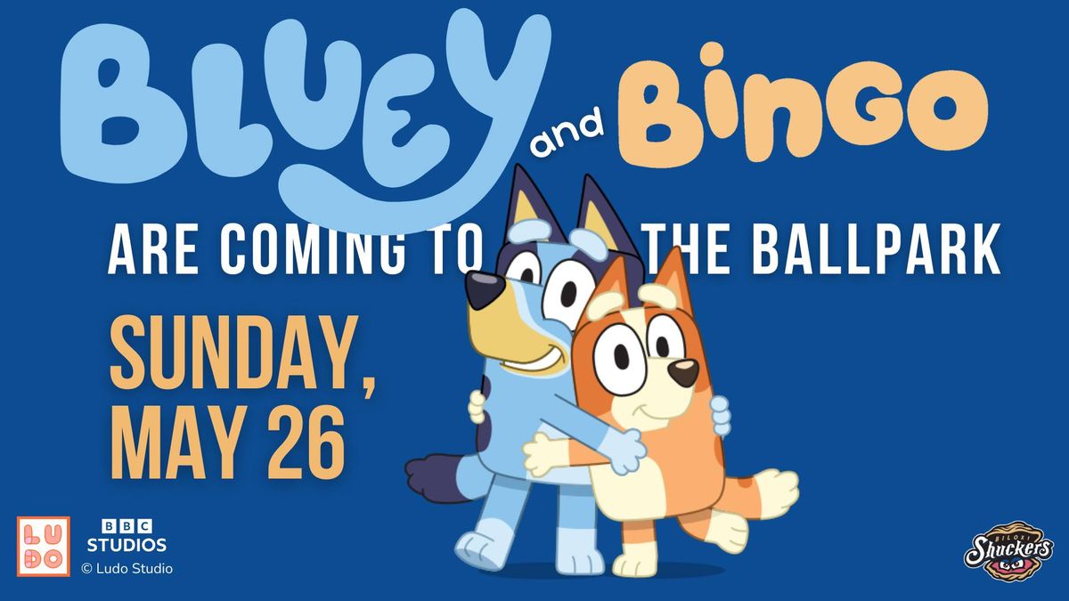 Bluey and Bingo at The Ballpark