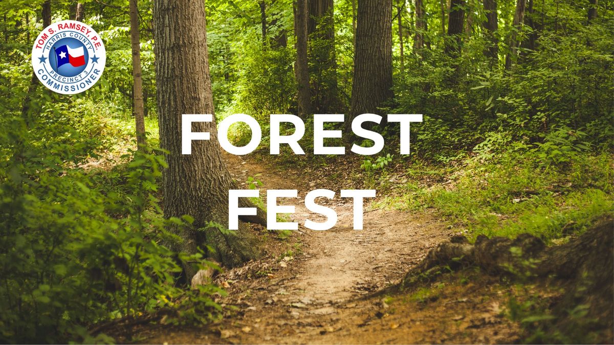 Forest Fest