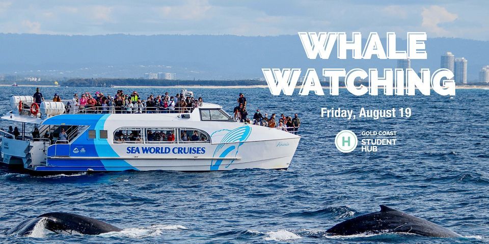 Day-Out Event | Whale Watching
