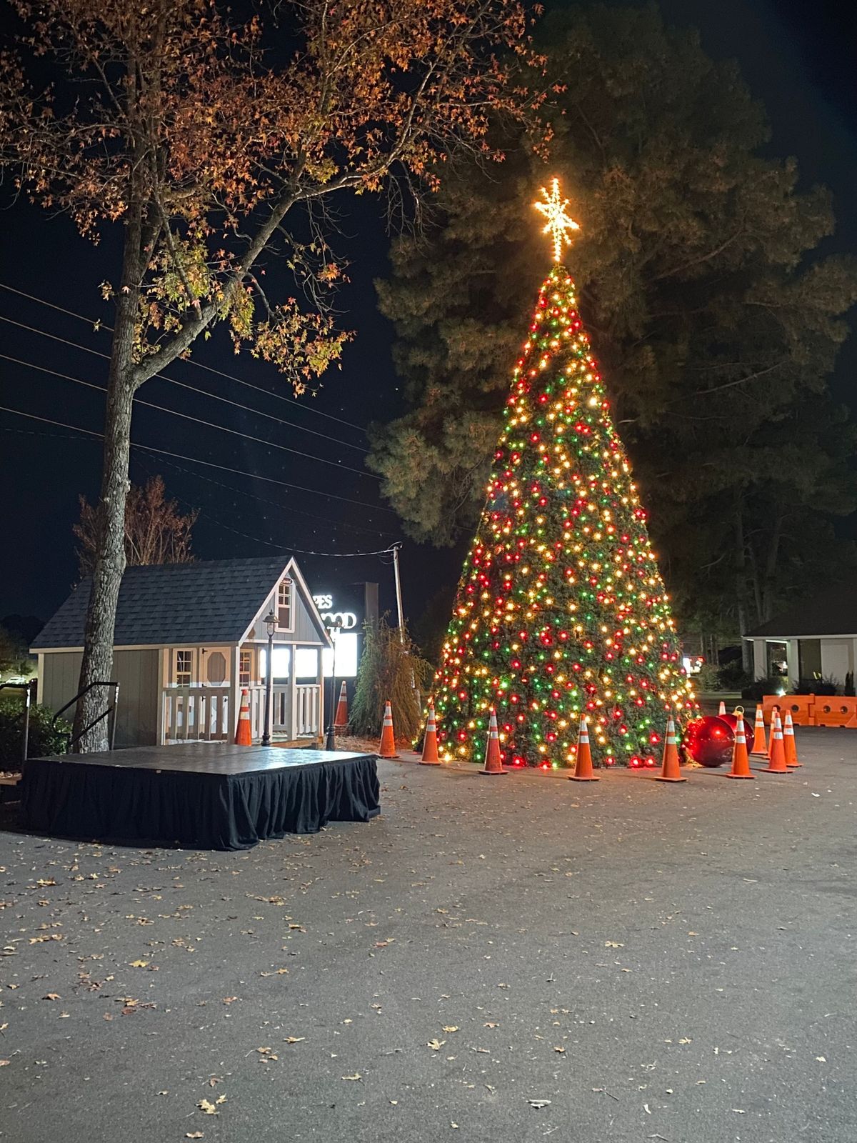 11th Annual Light Up Brentwood