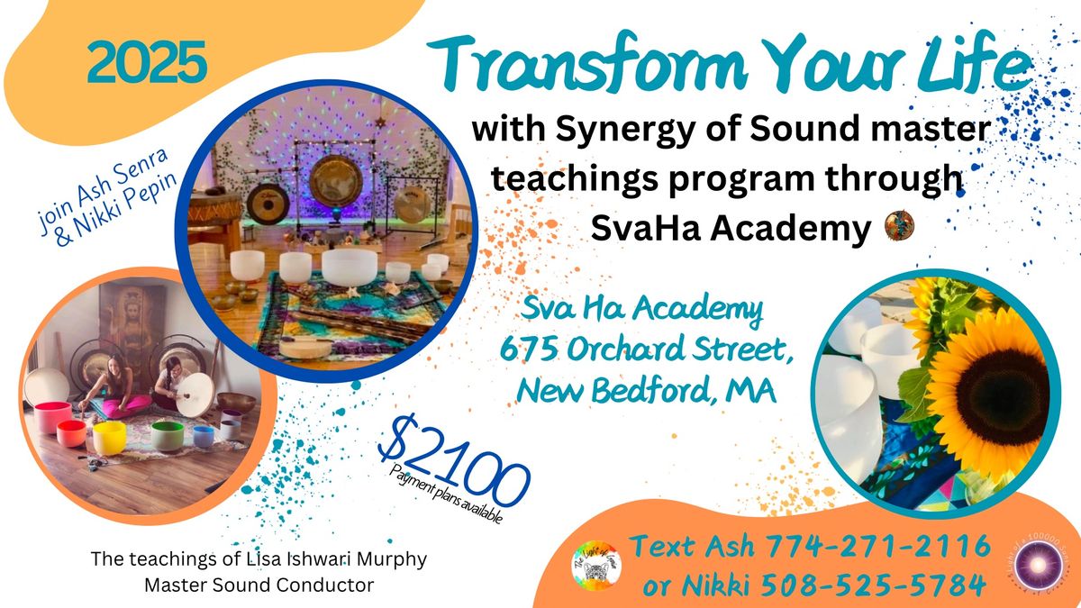 Synergy of Sound Master Teachings Program: Intro Class