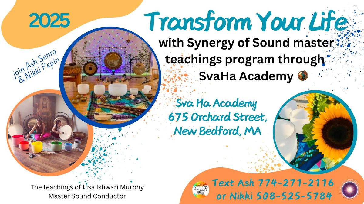 Synergy of Sound Master Teachings Program: Intro Class