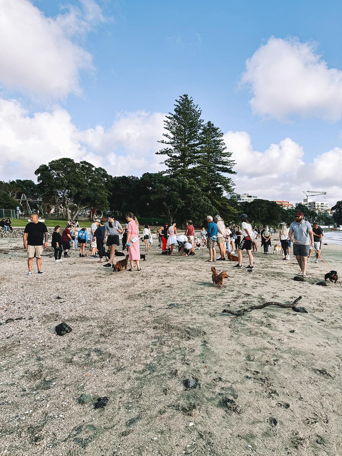 October Dachshund Walk - Sunday 6th October