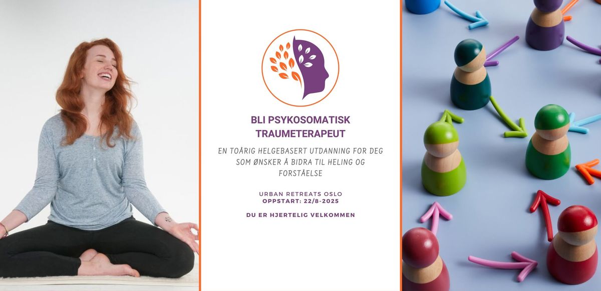  Bli Psykosomatisk Traumeterapeut