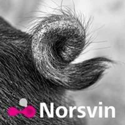 Norsvin