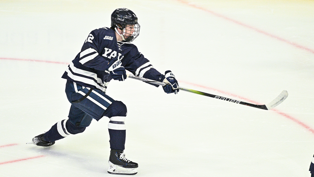 Cornell Big Red at Yale Bulldogs Mens Hockey