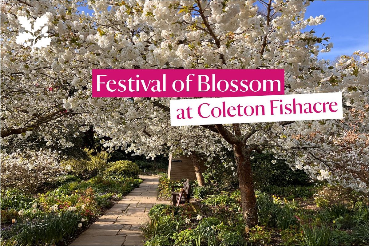 Festival of Blossom at Coleton Fishacre