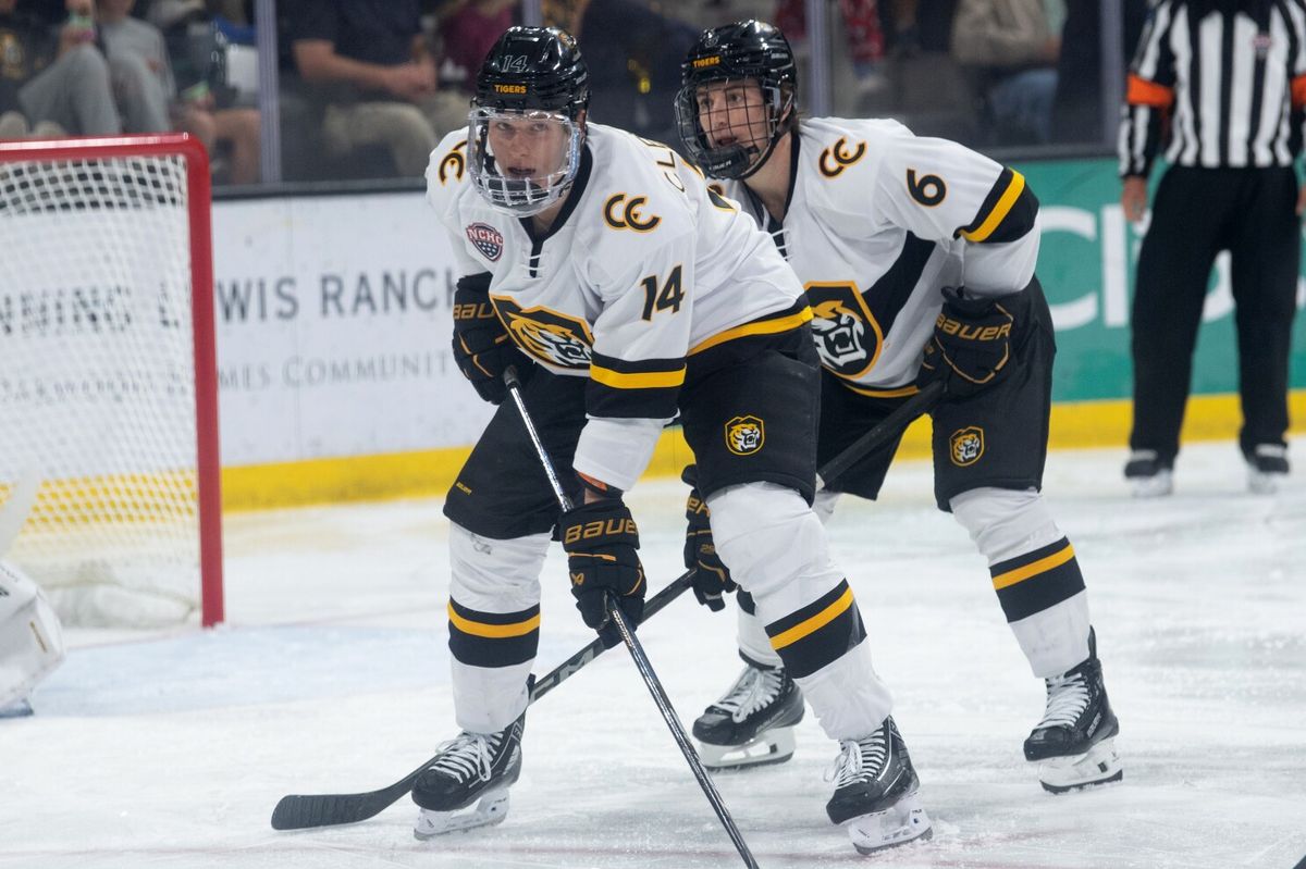 Minnesota Duluth Bulldogs vs. Colorado College Tigers