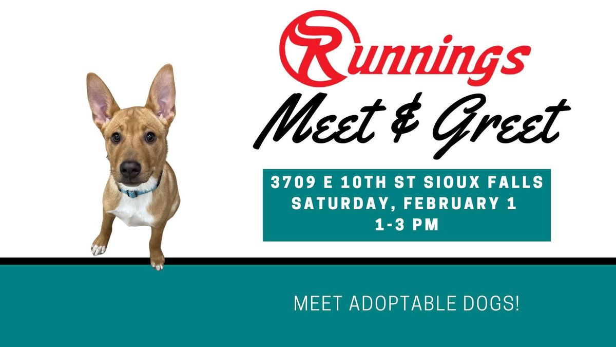 Meet & Greet: Runnings 