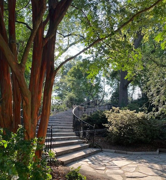 Guided Tour of the Marian Coffin Gardens at Gibraltar