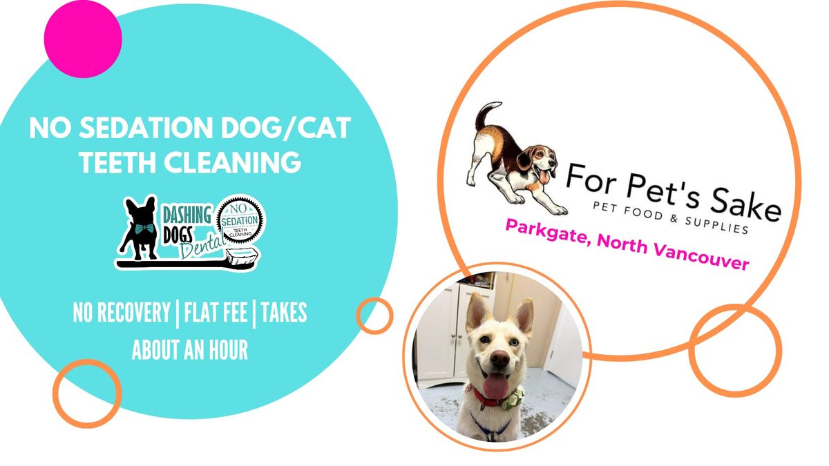 No Sedation Pet Teeth Cleaning Event -Parkgate for Pet's Sake
