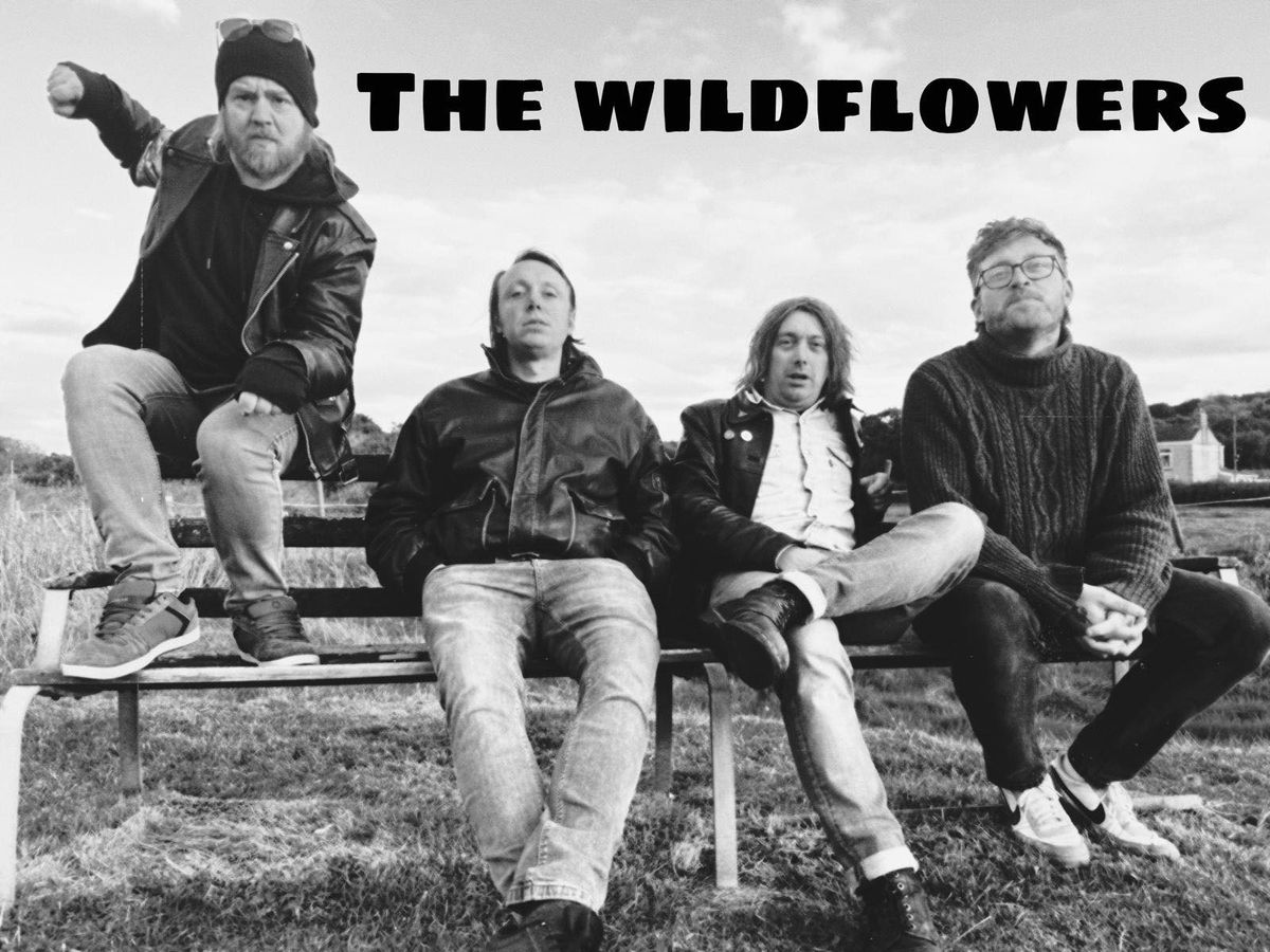 The Wildflowers live at The Vivs (Sketty)