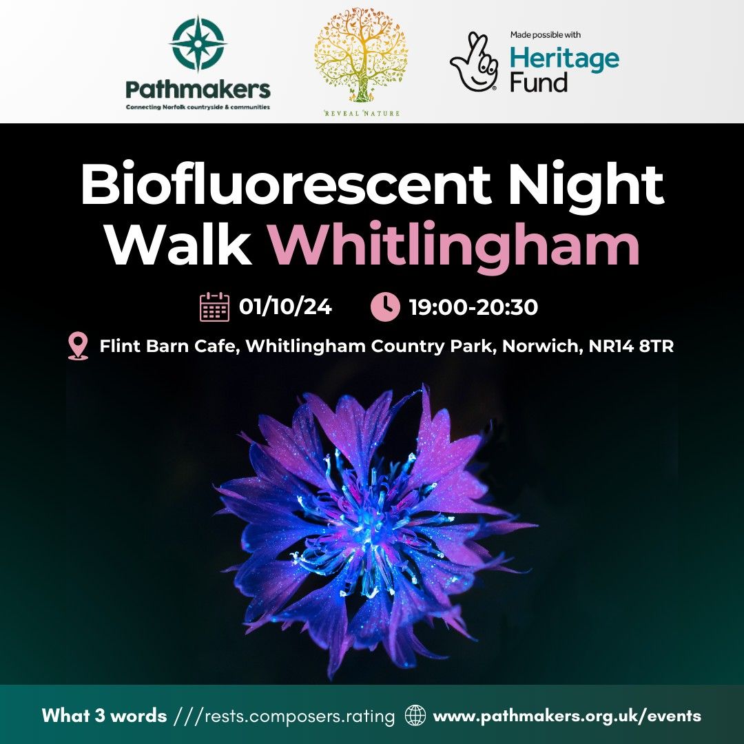 Biofluorescent Night Walk, Whitlingham