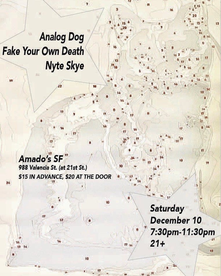 Analog Dog, Fake Your Own Death, Nyte Skye