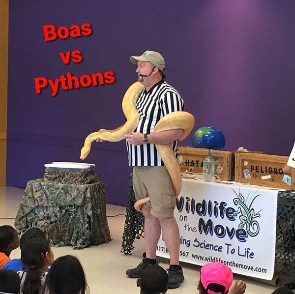 Wildlife On The Move Presents Boas vs. Pythons at Southlake Public Library (Southlake, TX)