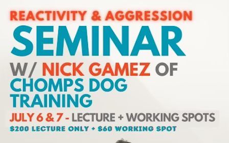 Reactivity and Aggression Seminar w\/ Nick Gamez of Chomps Dog Training
