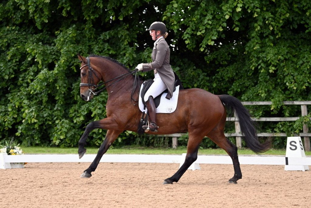 Dressage Clinic with Emma Jablonski