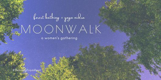 Moon Walk: Forest Bathing + Yoga Nidra (a women's gathering)