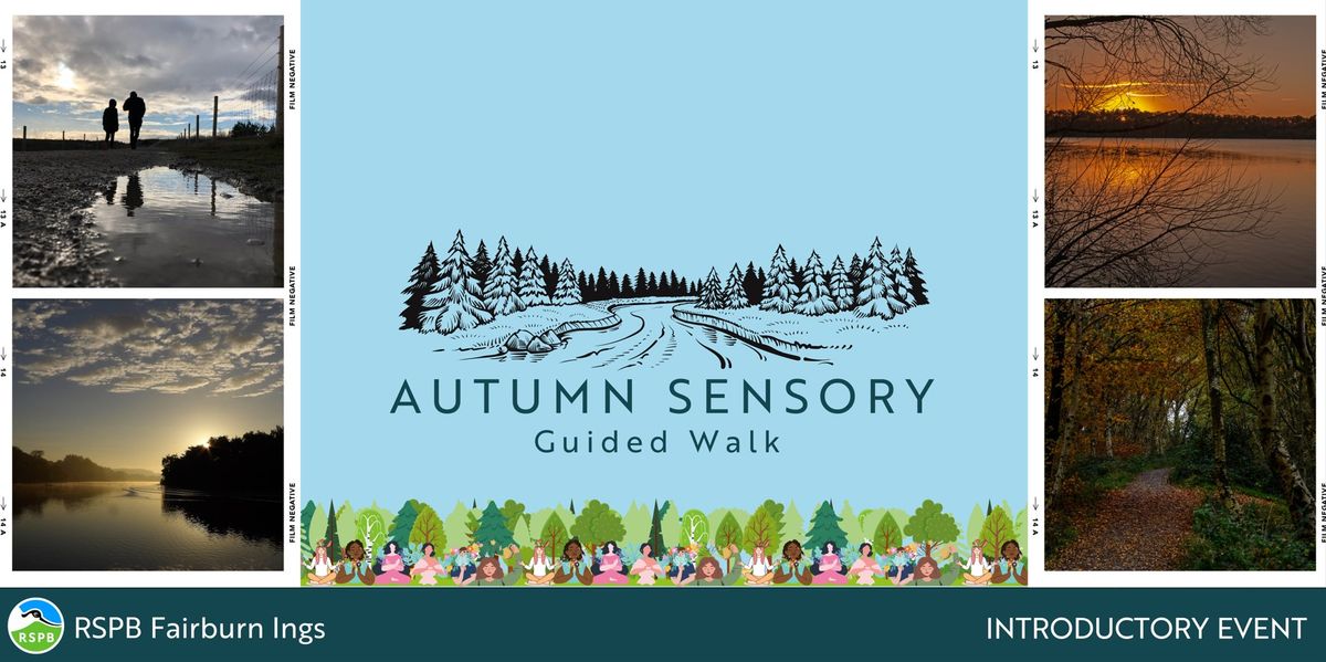 Autumn Sensory Walk- RSPB Fairburn Ings