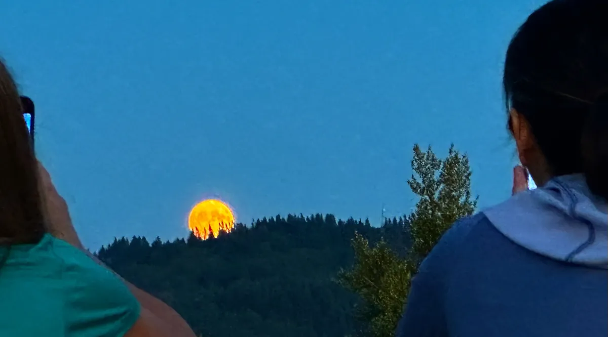 \ud83c\udf14Near Full Moon Hike @ Powell Butte 4-6m\ud83c\udf16