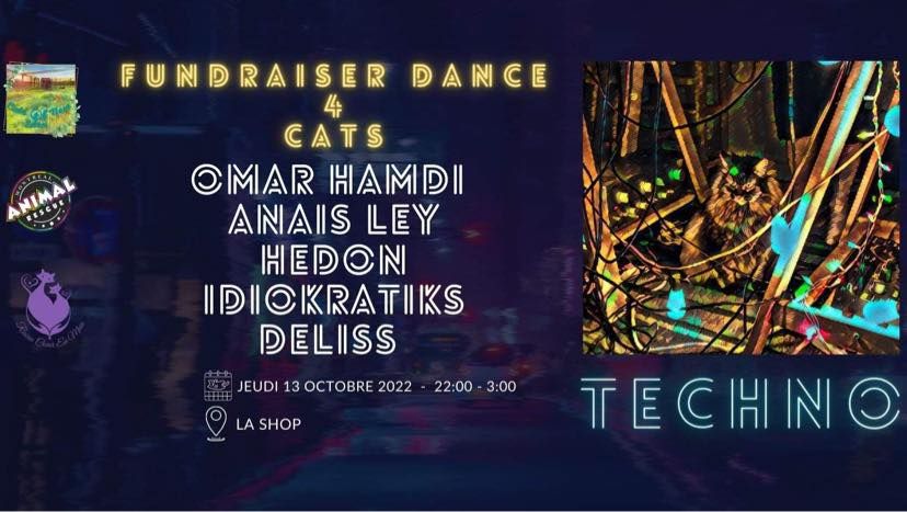 Techno Fundraiser Dance 4 Cats
