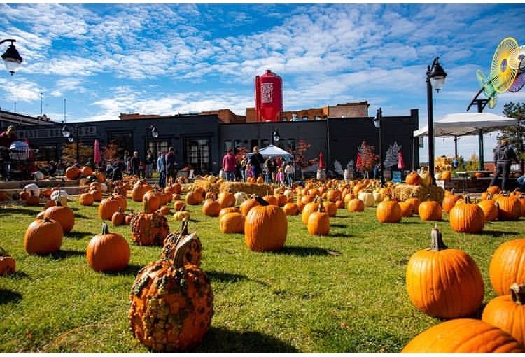 The Great PumpkinFest