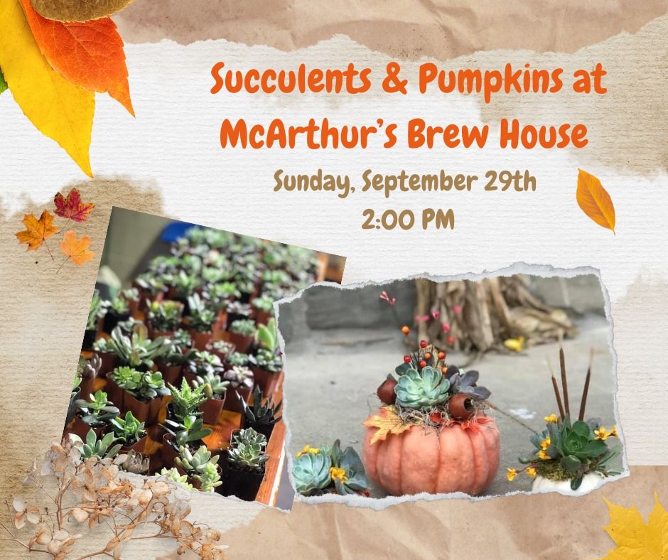 Succulents & Pumpkins at McArthur's Brew House