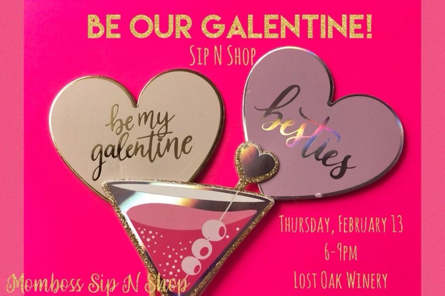 Momboss Sip n Shop Galentines Event