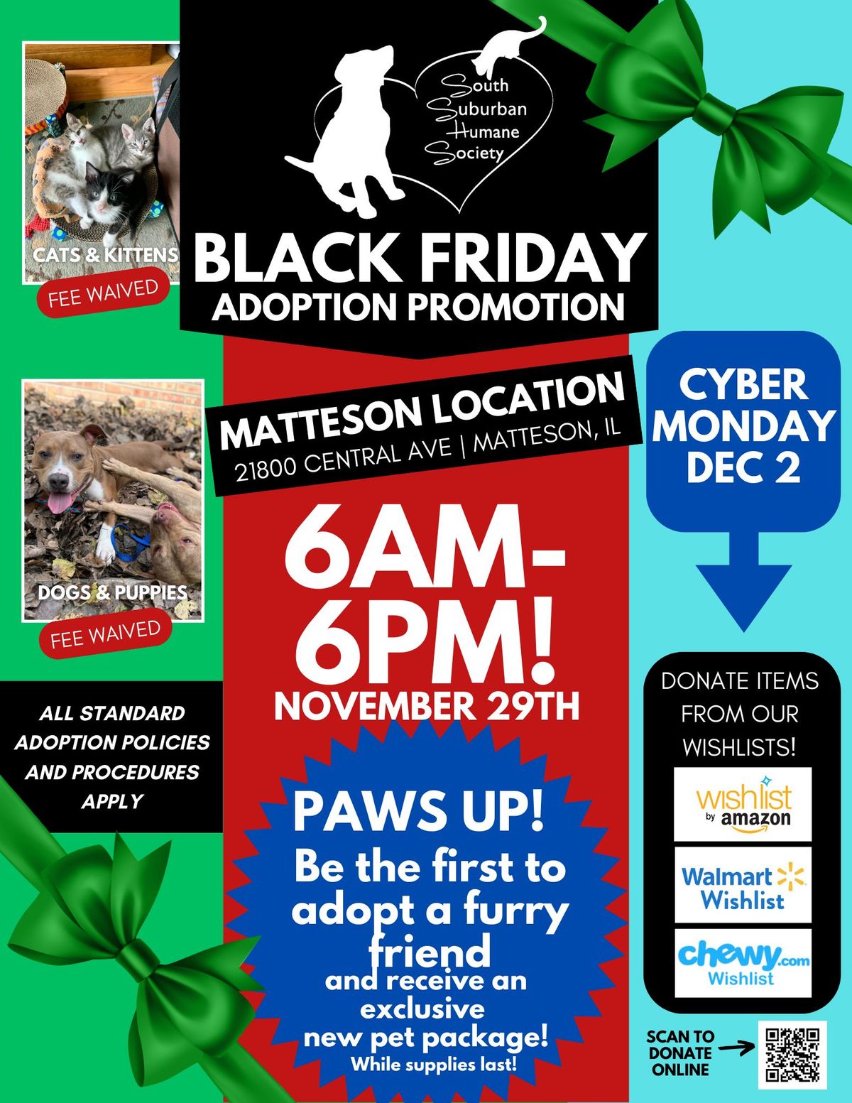 Black Friday Adoption Promotion