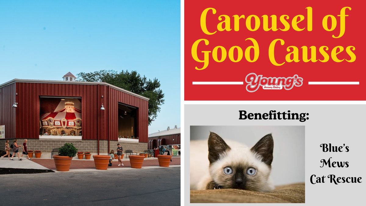 Carousel of Good Causes: Blue's Mews Cat Rescue