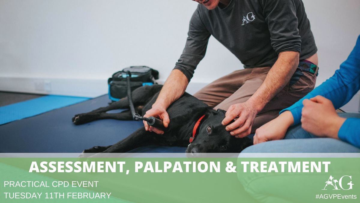 Assessment, Palpation & Treatment