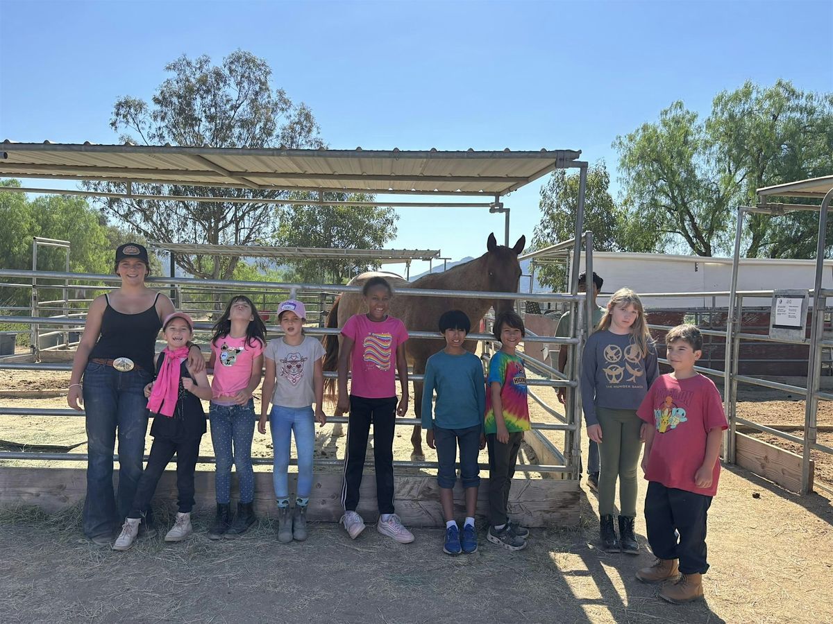 San Diego Trail Company Camps  at the Ranch