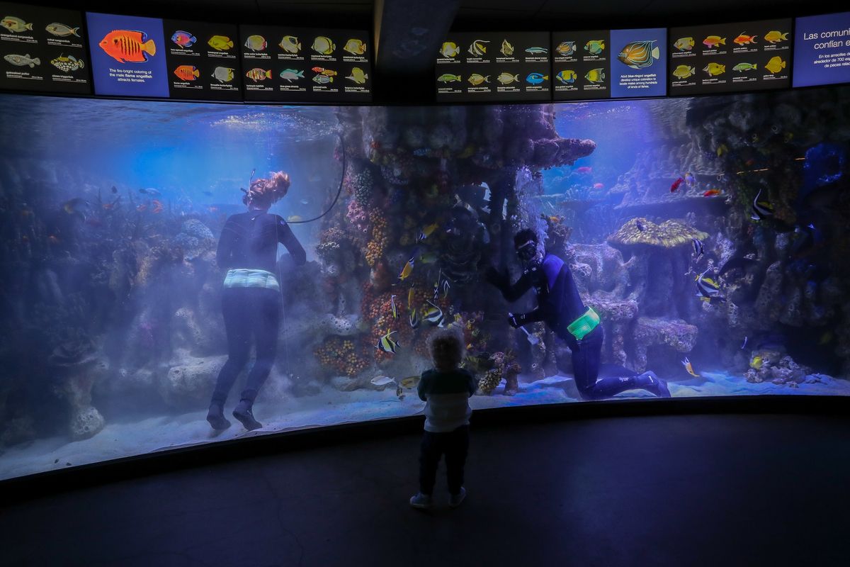 World Day of the Deaf Program at the New England Aquarium!