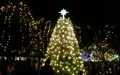 Summerville Christmas Tree Lighting 2022 Summerville Tree Lighting And Live Window Displays!, Main Street Reads,  Summerville, 30 November 2021