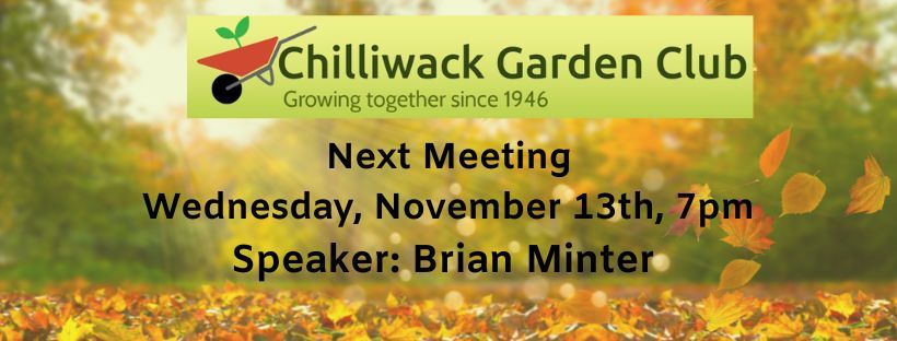 November Meeting