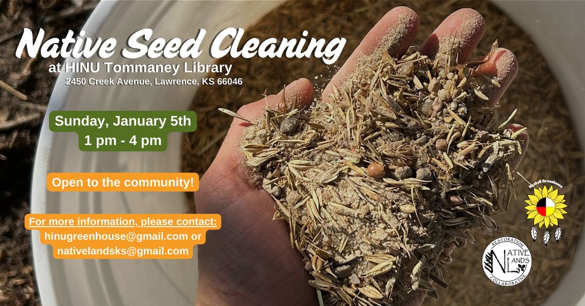 Native Seed Cleaning at HINU Tommaney Library