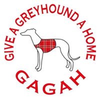 Give A Greyhound A Home