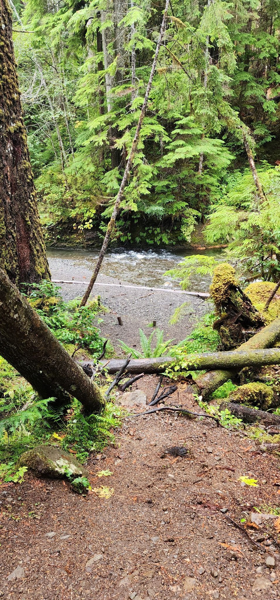 Hike Lower Big Quilcene