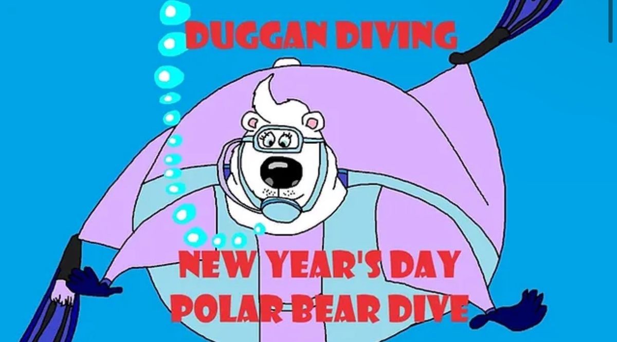 New Year's Polar Bear Dive