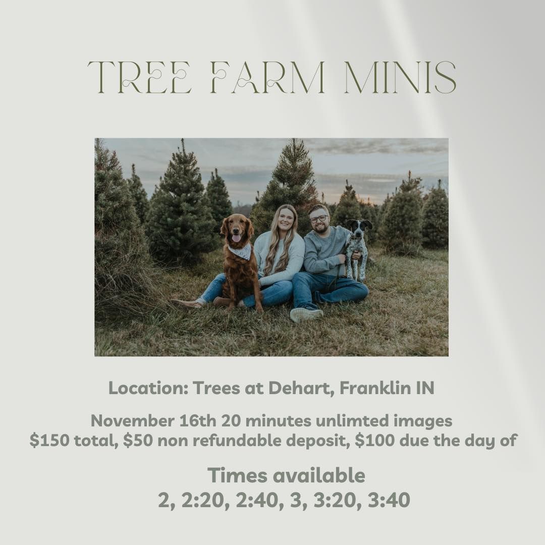 Tree Farm Minis