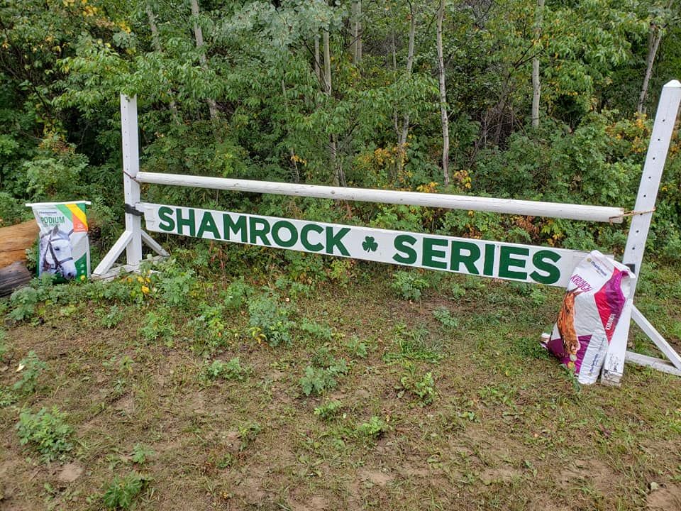 Shamrock Series II