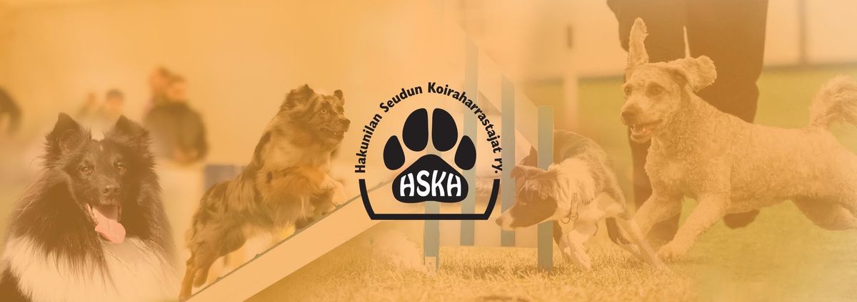 HSKH:n agilitykilpailut | Huhtikisat 5.-6.4.2025