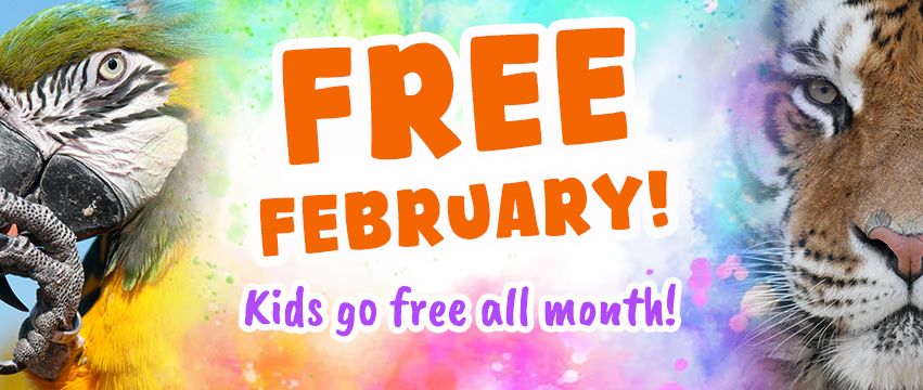 Free Child Entry in February