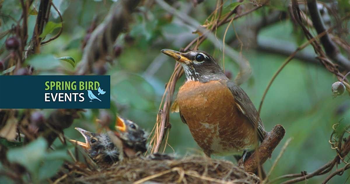 Birding Walk at The Meadoway