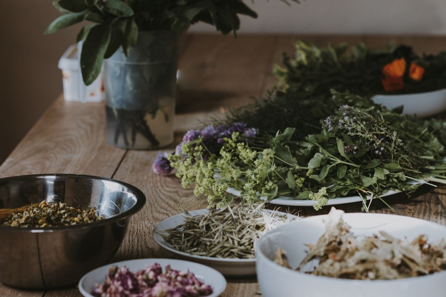 Herbal Support for Women's Health at Finley Farms