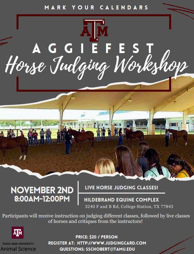 Aggiefest Horse Judging Clinic at Hildebrand Equine Complex