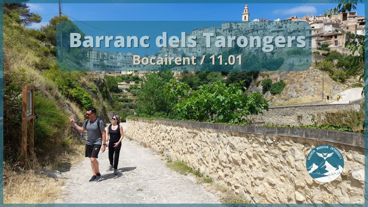 Barranc dels Tarongers - Bocairent