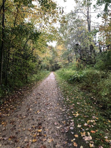 Rockingham Rail Trail\/Massabesic Lake Cleanup