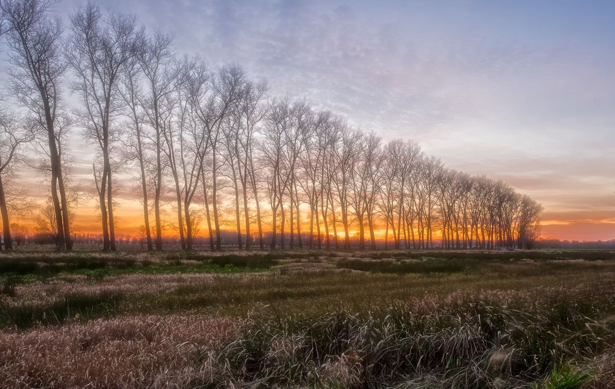 Excursie in de Assebroekse Meersen 