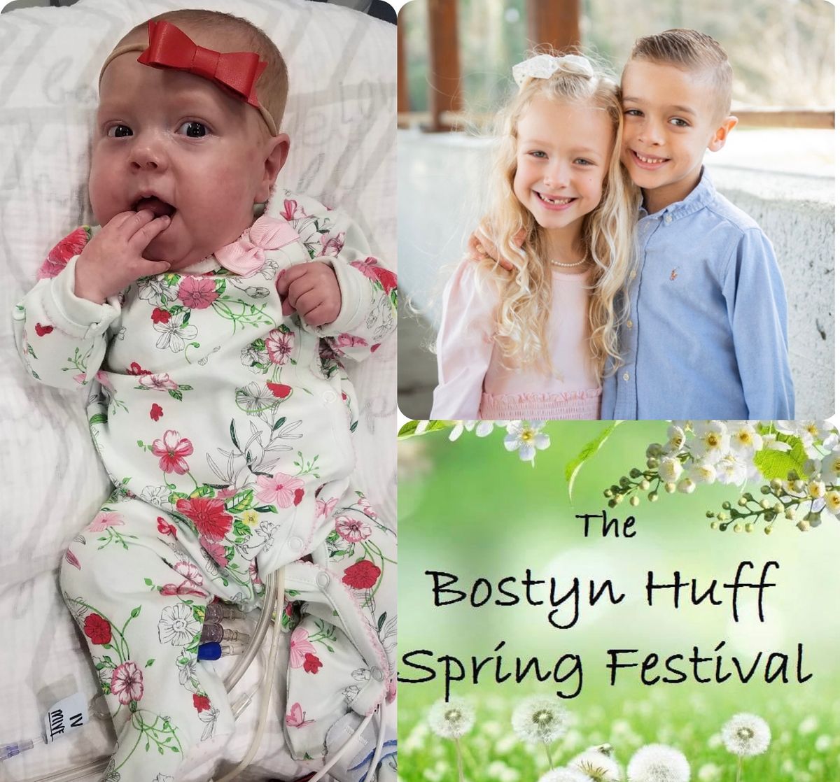 The Bostyn Huff Spring Festival